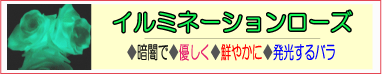 �C���~�l�[�V�������[�Y �c �Ɩ��������ƗD�����N�₩�Ɍ���o���B�@�{�b�N�X�ɓ���ē��X��蒼���ɂĂ��͂�
