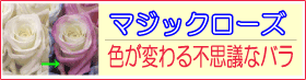 �}�W�b�N���[�Y �c �F���ω�����o���c�}�W�b�N���[�Y�@���x�ŕω�����^�C�v �� ���O��(���z��)�ŕω�����^�C�v�@�{�b�N�X�ɓ���Ē����ɂĂ��͂�