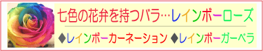 ���C���{�[���[�Y �c ���F�̉ԕق����ԁc���C���{�[���[�Y�E���C���{�[�J�[�l�[�V�����E���C���{�[�K�[�x���@�{�b�N�X�ɓ���ē��X��蒼���ɂĂ��͂�