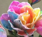 �b��}���@���C���{�[�`���[���b�v