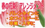 �t�� �ԑ� �E �A�����W�����g �c�`���[���b�v�E�X�C�[�g�s�[�E�t���[�W�A�����g�p�������i���W