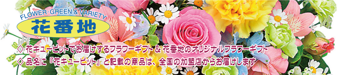 �ԃL���[�s�b�g�����X�b�ԔԒn�@�t�����[�M�t�g��WEB�I�[�_�[