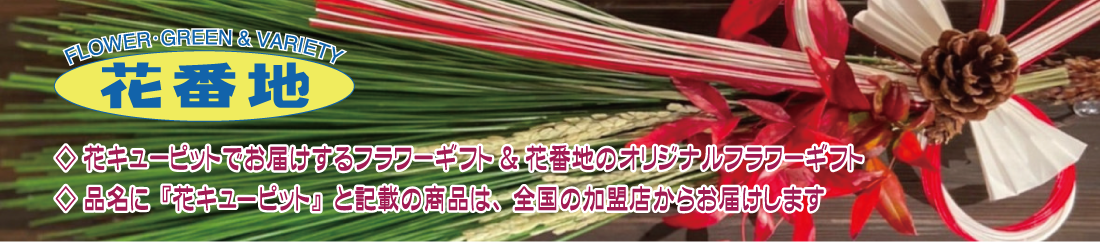 �ԃL���[�s�b�g�����X�b�ԔԒn�@�t�����[�M�t�g��WEB�I�[�_�[