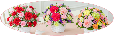 ��̓� �A�����W�����g