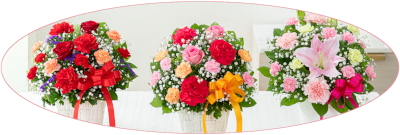 ��̓� �A�����W�����g