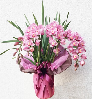 ⭐️シンピジュームアーチ5本立ち⭐️チャペルの鐘 楽天市場